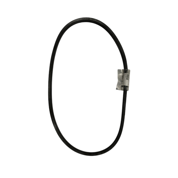 CINGHIA CNH 301146A1